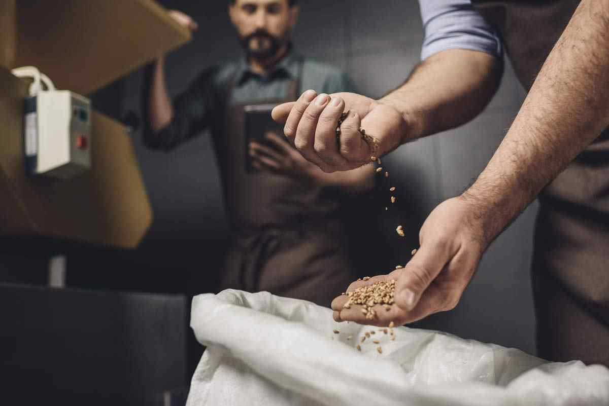 brewery-grains-through-hands